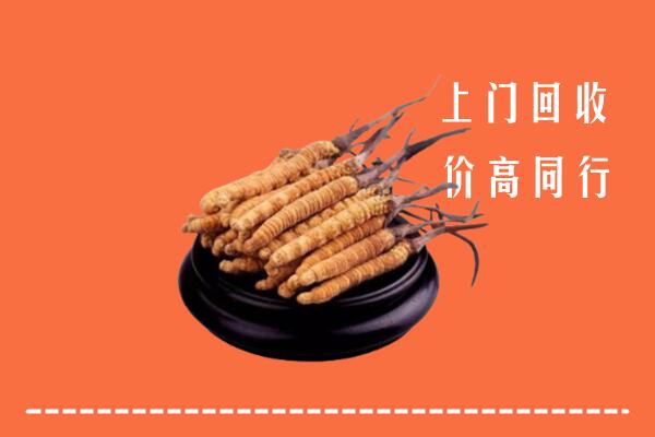 收购行情：天津市滨海回收散虫草