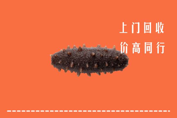 附近收购：天津市滨海回收海参